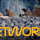 Image for article titled The difference between apes and humans that led to cities, nations, and the internet